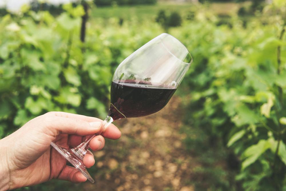 wine glass